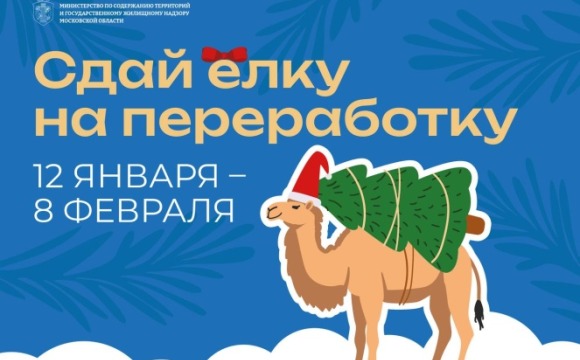 Подари своей ёлке вторую жизнь! — с 12 января в Подмосковье стартует акция «Сдай елку на переработку»