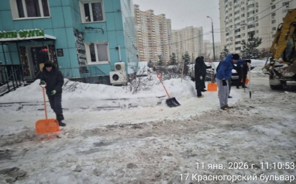 МБУ «Красногорская городская служба» совместно с управляющей компанией ООО «Сфера» организовали субботник во дворе дома по адресу: Красногорский бульвар, д. 20 в Павшинской пойме