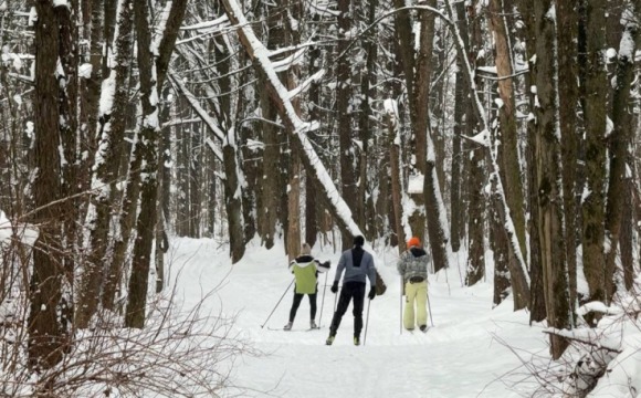 Опалиховский лесопарк: лыжная трасса для любителей и профессионалов