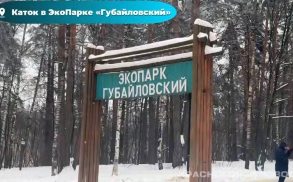 В экопарке «Губайловский» начал работу новый каток