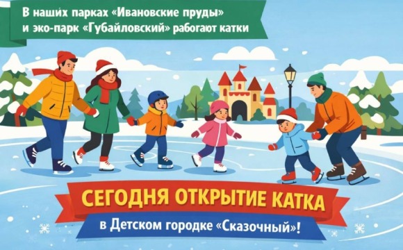 Зима в разгаре, самое время доставать коньки!