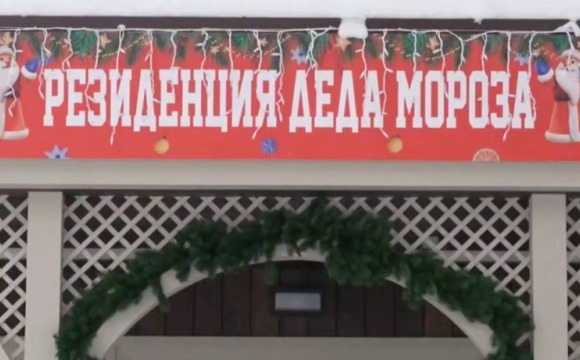 Акция «Елка желаний» завершилась в Красногорске