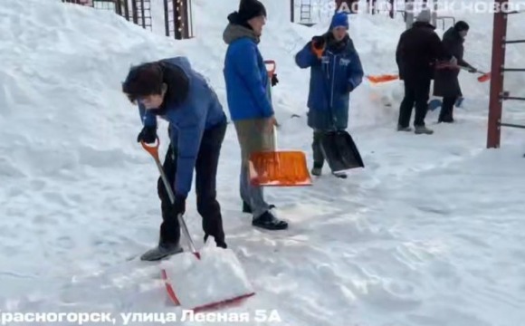 На улице Лесная провели зимний субботник