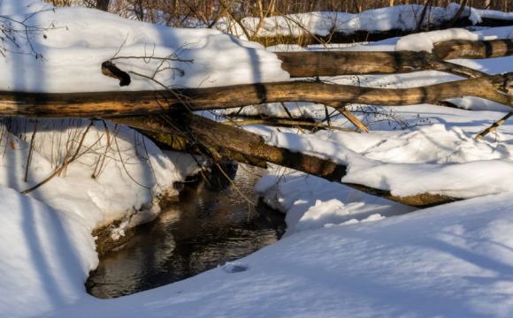 Готовность к весенним паводкам обсудили в Красногорске