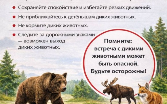 Памятка о поведении при встрече с дикими животными