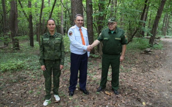 Более 800 тысяч обращений: как в Подмосковье работает система реагирования на лесные инциденты
