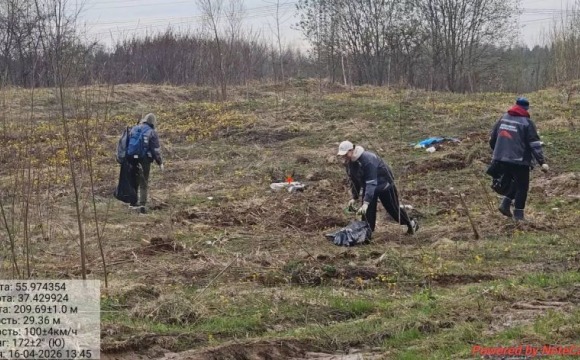 С каждым днем чище!