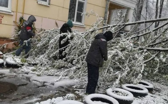 В Красногорске коммунальные службы ликвидируют последствия снегопада