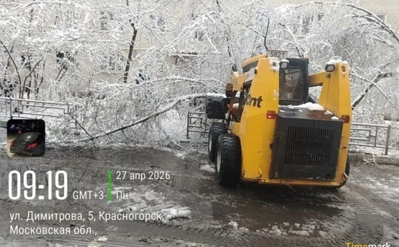 Сотрудники городских служб Красногорска продолжают работы по ликвидации последствий снегопада