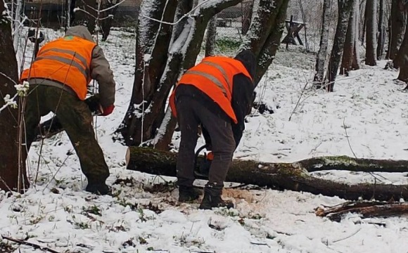 Распил поваленных деревьев, устранение подтоплений и расчистка дорог от снега - коммунальные службы продолжают работу усиленном режиме