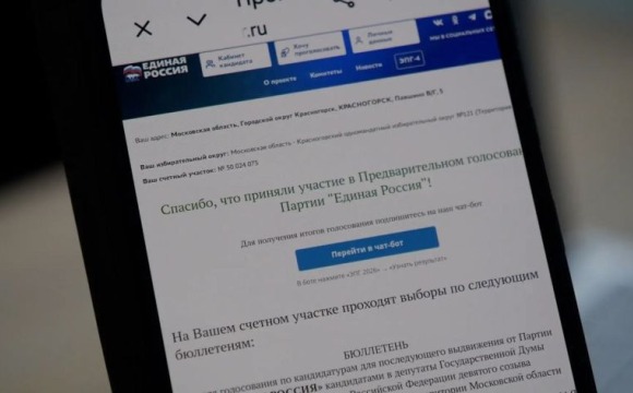«Единая Россия» подвела итоги предварительного электронного голосования
