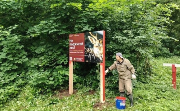 В Красногорске активно ведутся работы по противопожарному обустройству лесов