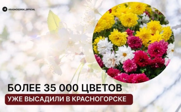 Клумбы и кашпо по всему округу украшают петунии, бегонии, цинерарии и каладиумы, чтобы радовать глаз и дарить летнее настроение вам, дорогие красногорцы!