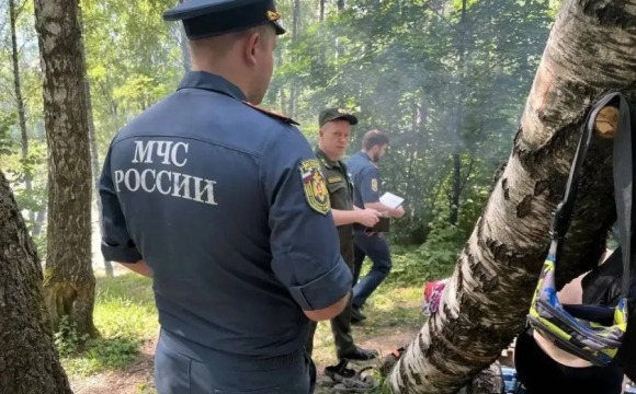 145 нарушений лесного законодательства выявлено в первом полугодии