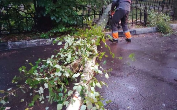 В округе продолжается ликвидация последствий непогоды. Сотрудники городских служб устраняют последствия проливного дождя - убирают упавшие деревья и обломанные ветки