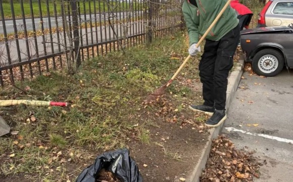 Более 2,5 тысячи мешков листвы и мусора собрали участники субботников в Красногорске