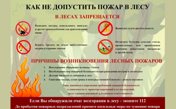 Внимание! В Московской области прогнозируется высокий класс пожарной опасности