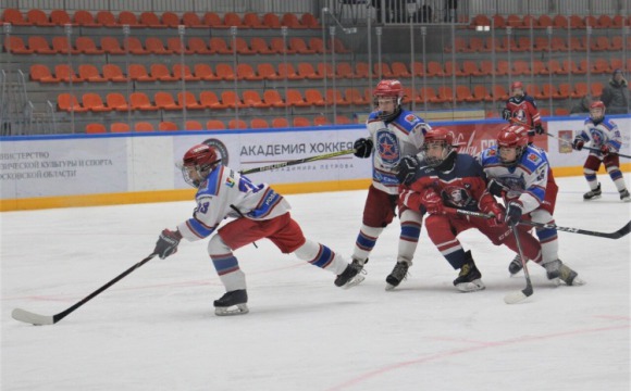 Красногорские хоккеисты уступили соперникам в домашних матчах