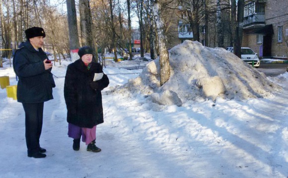 Жители Подмосковья жаловались Витушевой на снег, свет и мусор