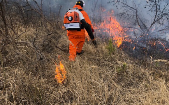 93 пожара потушили красногорские огнеборцы с начала года