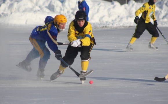 Красногорская команда по хоккею с мячом занимает лидирующие позиции на Всероссийских соревнованиях