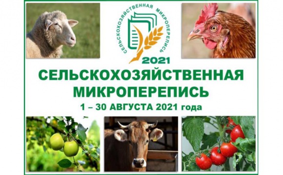 Жителей Красногорска приглашают принять участие в сельхозмикропереписи-2021