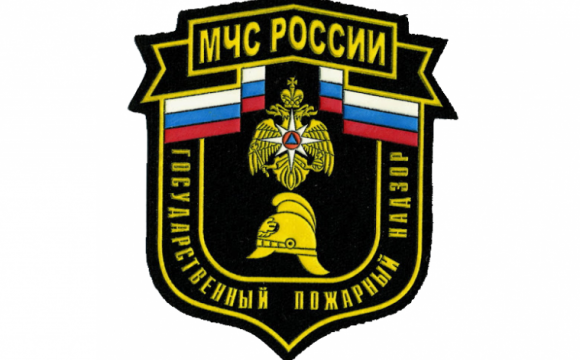 Государственному пожарному надзору МЧС России - 94 года.