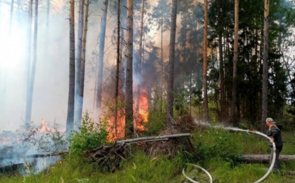 За неделю подмосковные лесопожарные формирования ликвидировали 55 пожаров