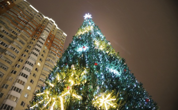 Первые новогодние ёлки в Красногорске зажгутся 1 декабря