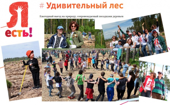 Красногорцев приглашают на экоакцию «Удивительный лес» 15 мая