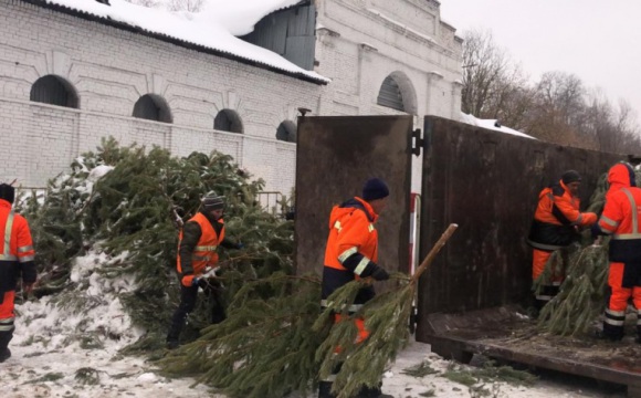 Новогодние деревья вывезли на переработку