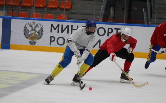 В Красногорске стартовал VI Летний кубок по мини-хоккею с мячом