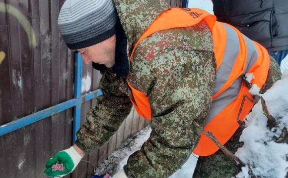 В Павшинской пойме провели дератизацию по обращениям жителей