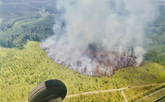 40 человек и 11 единиц техники задействованы в  тушении лесного пожара в Красногорск