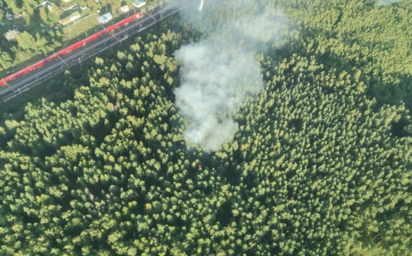 За неделю подмосковные лесопожарные формирования ликвидировали восемь пожаров