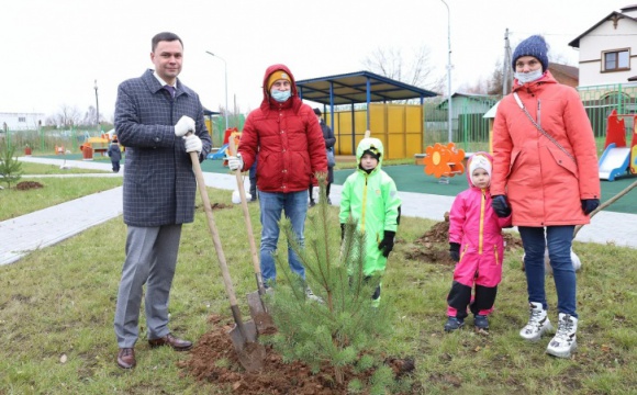Свыше 80 деревьев и кустарников посадили в детском саду в Нахабино