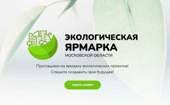 Министерство экологии и природопользования МО проводит конкурс экологических проектов