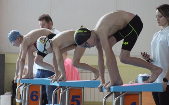 В Красногорске прошли соревнования по плаванию