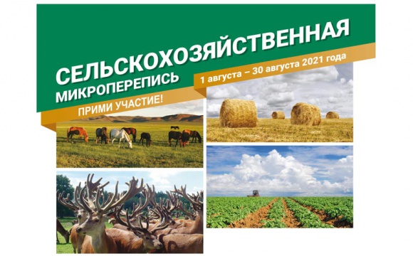 Всероссийская сельскохозяйственная перепись продолжается