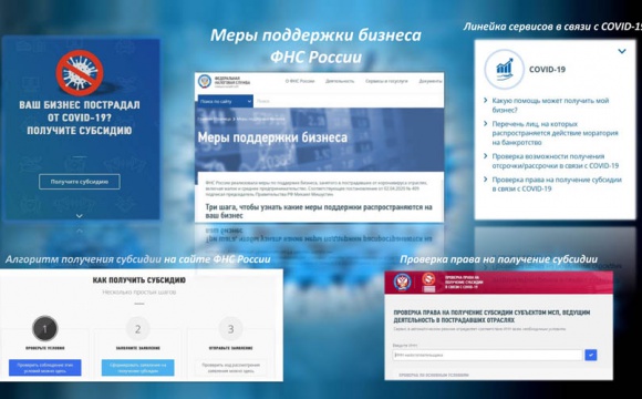 Меры поддержки бизнеса ФНС России