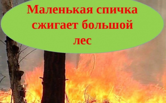 В начале этой недели пожарными ГКУ МО «Мособлпожспас» потушено 34 пала сухой растительности