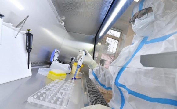 В Подмосковье выполнили более 13 млн ПЦР-исследований на коронавирус