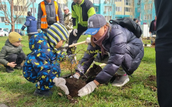 В Красногорске высадили 150 деревьев
