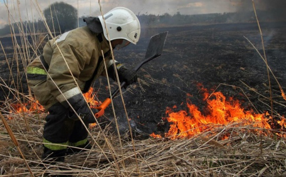 Более 1500 палов травы потушили огнеборцы ГКУ МО «Мособлпожспас» с начала пожароопасного сезона