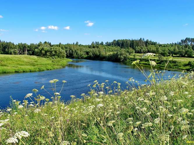Минэкологии: ООПТ местного значения в Одинцовском округе станет региональной и прирастет новыми землями