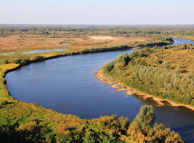 Министерство экологии и природопользования приступило к расчистке реки Клязьмы