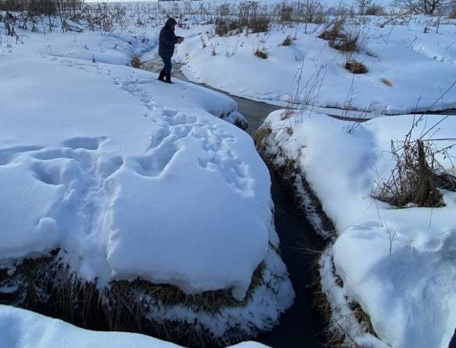 После вмешательства Минэкологии оперативно ликвидирован источник загрязнения реки в Волоколамском округе