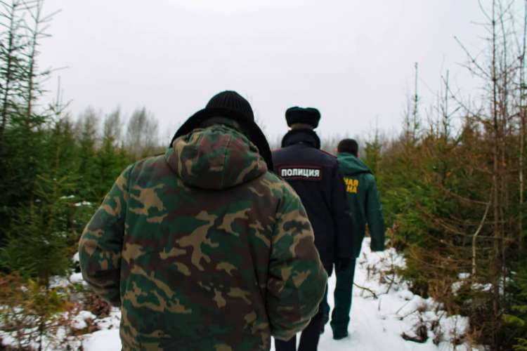 В Московской области за январь 2021 года вынесено постановлений о нарушении лесного законодательства на сумму более 12 миллионов рублей