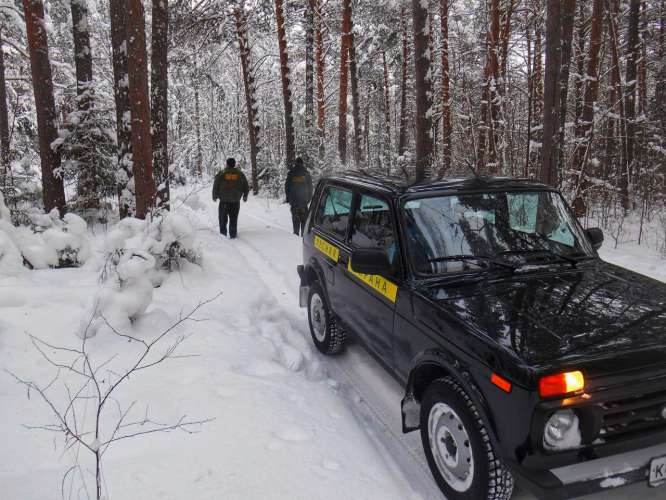 В Московской области за первые две недели февраля 2021 года к ответственности за нарушение лесного законодательства привлечено 136 лиц