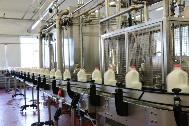 В Подмосковье оформлено около 60 тыс. электронных ветеринарных документов на экспортируемую молочную продукцию